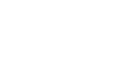 Palace Center